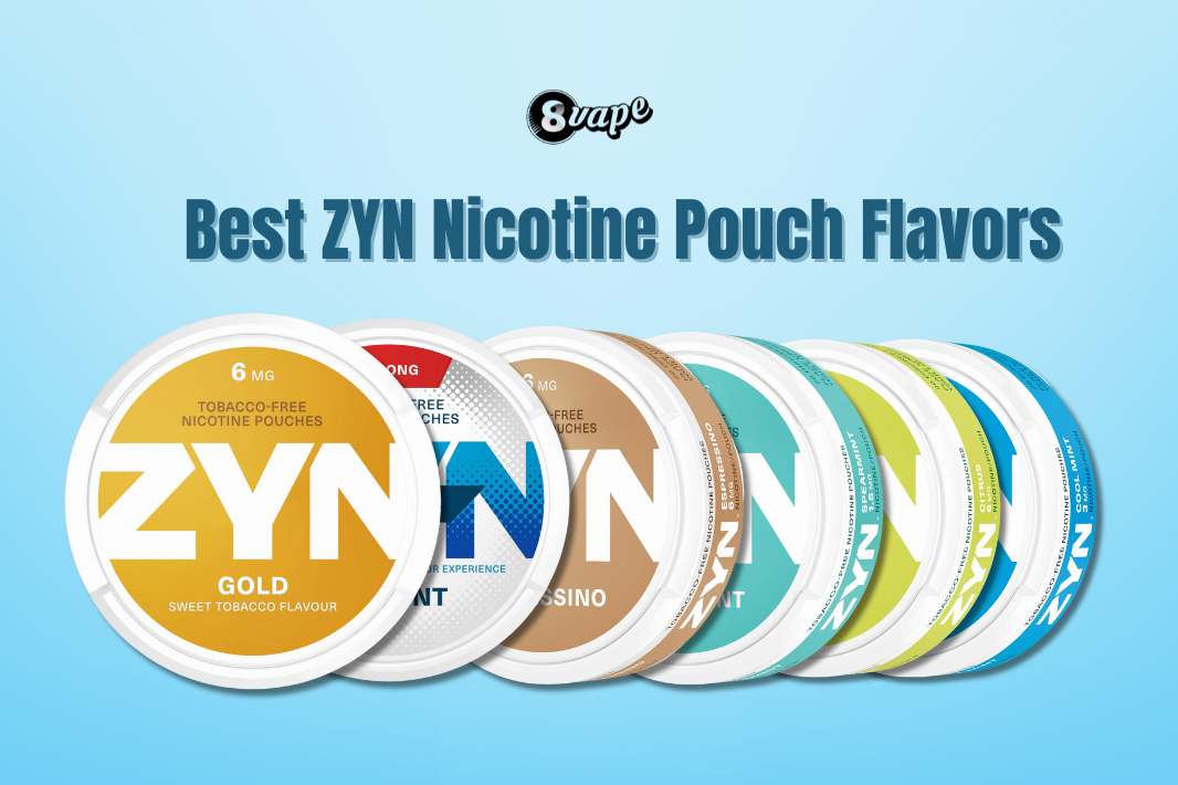 2024 Best ZYN Flavors: A Guide to Enjoying Nicotine Pouches – Eightvape