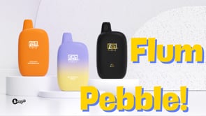 flum pebble disposable vape video