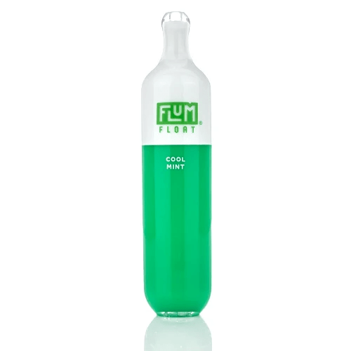 Flum Disposable Vape Cool Mint Flum Float Disposable Vape (5%, 3000 Puffs)